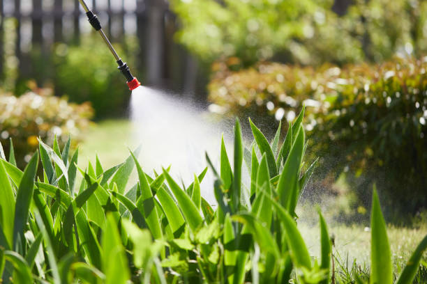Tamper-Resistant Bait Stations for Rodents in Park Ridge