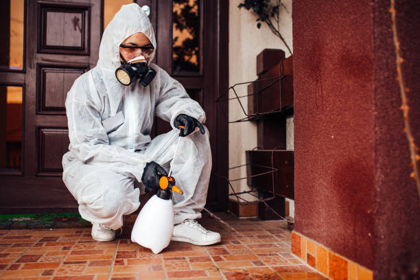 Attic and Crawl Space Rodent Treatment in Park Ridge