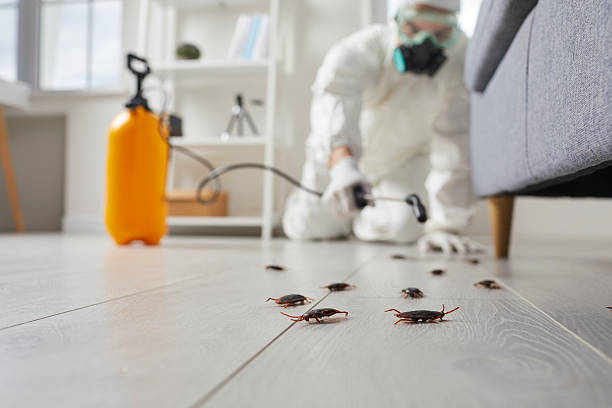 Commercial Rodent Management in Park Ridge